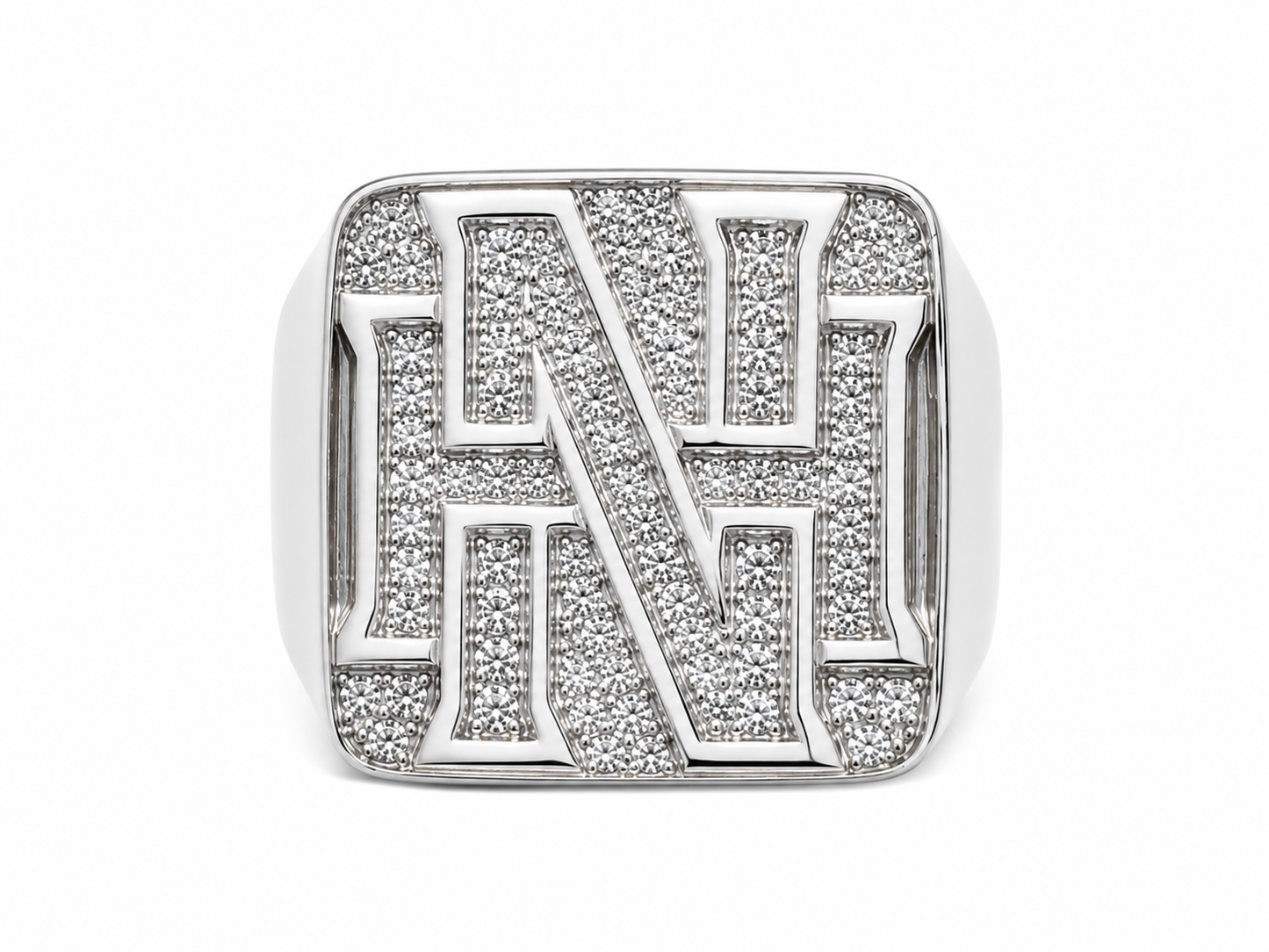 NASTY HUMAN — SIGNATURE RING